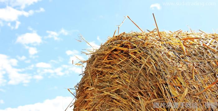 關于動物飼料進口報關流程手續的這8點 關于動物飼料進口報關流程手續的這8點