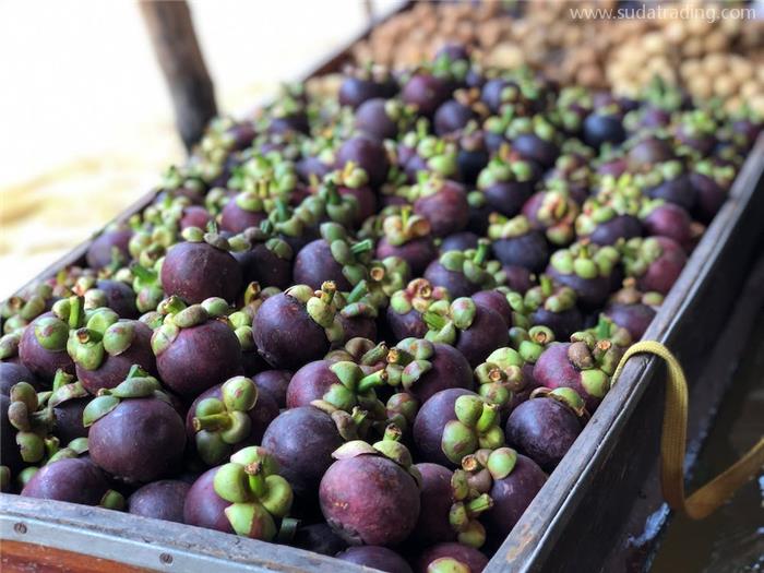 印度尼西亞進(jìn)口山竹報關(guān)的關(guān)稅以及清關(guān)流程 印度尼西亞進(jìn)口山竹報關(guān)的關(guān)稅以及清關(guān)流程