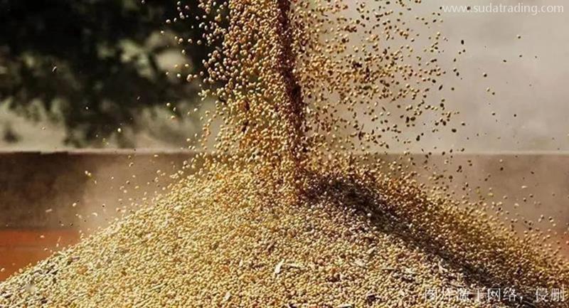 俄羅斯菜籽粕進口報關(guān)資料天津菜籽粕飼料清關(guān)費用 俄羅斯菜籽粕進口報關(guān)資料天津菜籽粕飼料清關(guān)費用