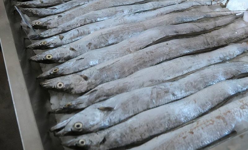 印度進(jìn)口凍帶魚報(bào)關(guān)的具體流程手續(xù)