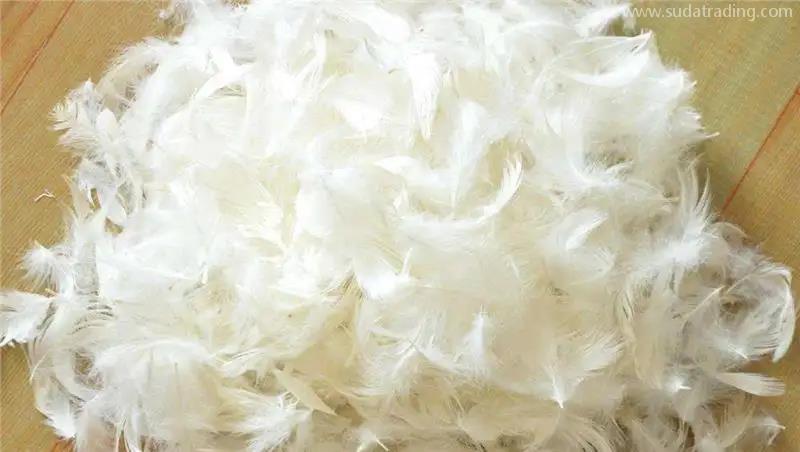 越南鴨毛進口報關資料鴨絨進口報關流程一站式 越南鴨毛進口報關資料鴨絨進口報關流程一站式