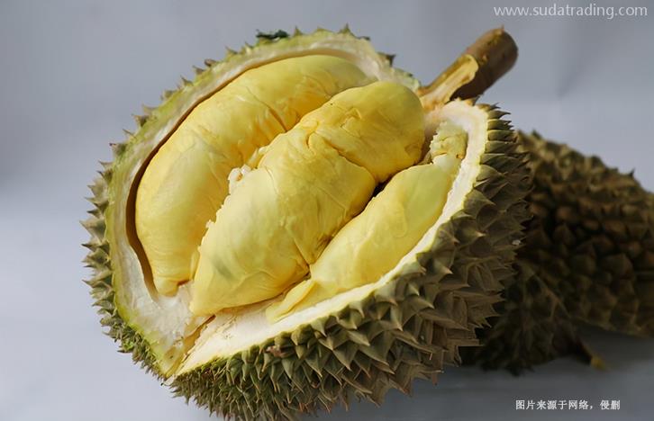 越南榴蓮進口清關資料提供這6樣-19年水果報關行