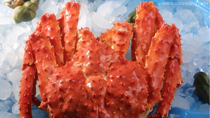 上海進口挪威帝王蟹報關資料7步螃蟹清關流程