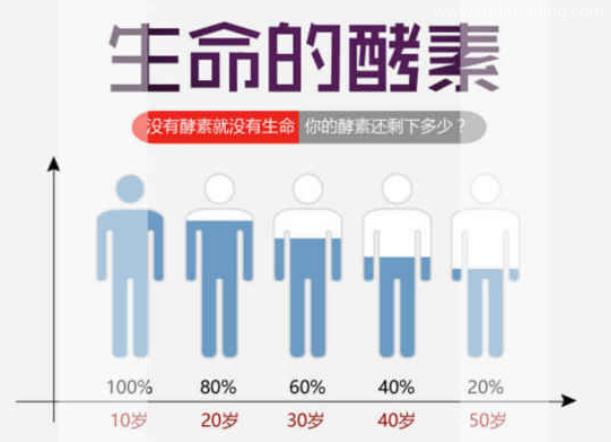 進(jìn)口日本酵素有哪些流程? 進(jìn)口日本酵素有哪些流程?