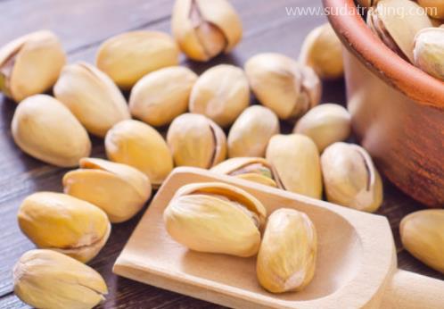 帶你了解開心果的進口之旅 帶你了解開心果的進口之旅