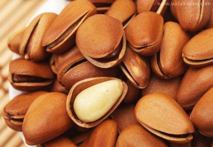 關于松子仁進口清關的流程分享