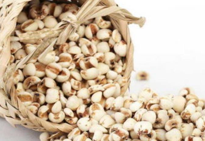 薏米進口報關清關流程知識話你知