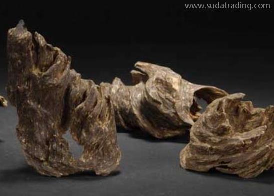 沉香進(jìn)口報(bào)關(guān)清關(guān)知識(shí) 沉香進(jìn)口報(bào)關(guān)清關(guān)知識(shí)