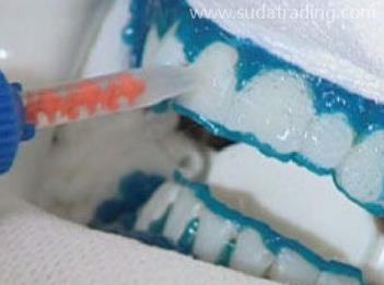 牙本質保護劑進口報關清關知識