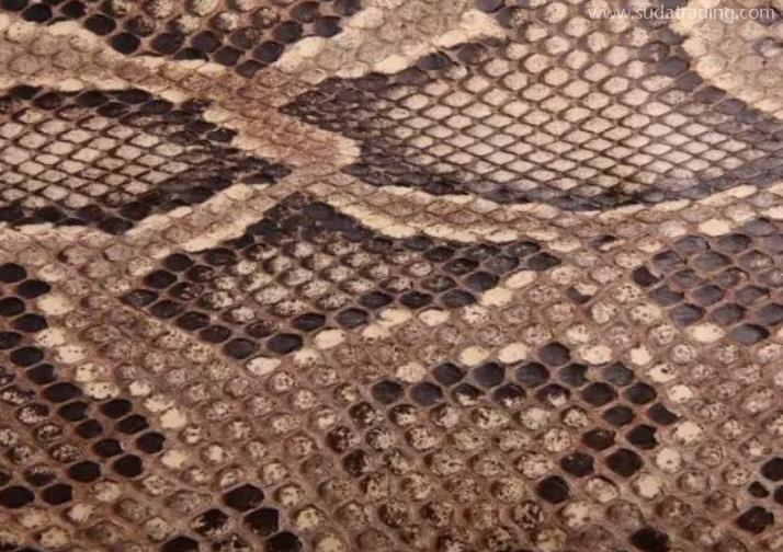 蟒蛇皮進口報關清關知識小課堂 蟒蛇皮進口報關清關知識小課堂