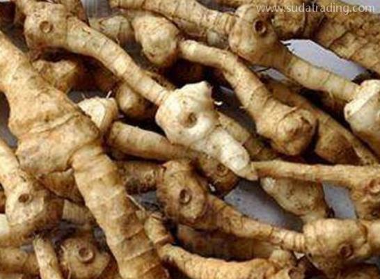 黃精進口報關清關流程