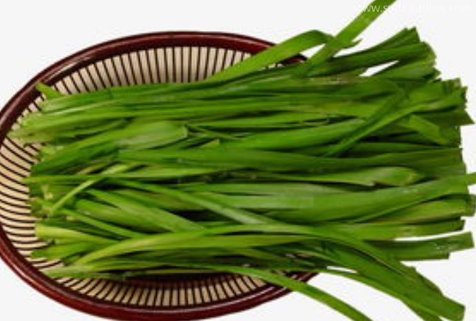 韭菜進口報關清關知識有哪些？