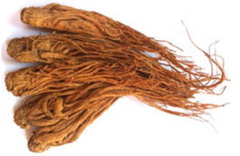 當歸進口申報資料詳解