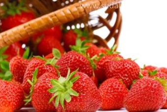 草莓進口報關清關知識詳解
