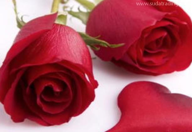 玫瑰花進口報關清關流程詳解 玫瑰花進口報關清關流程詳解