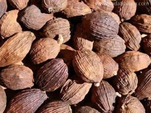 砂仁進口規范申報步驟