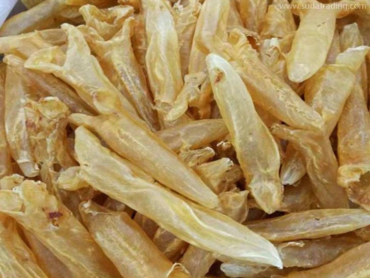 上海進(jìn)口印尼魚(yú)翅報(bào)關(guān)資料水產(chǎn)品快速通關(guān)指南 上海進(jìn)口印尼魚(yú)翅報(bào)關(guān)資料水產(chǎn)品快速通關(guān)指南