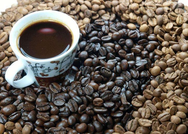 東帝汶進口報關公司哪家好？東帝汶咖啡豆清關流程