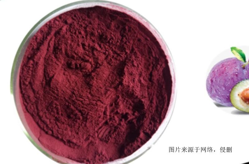 智利西梅果粉進口報關(guān)資料-20年廣州食品原料報關(guān)行