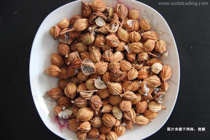 天津進口印尼白豆蔻報關流程藥材豆蔻進口準入要求 天津進口印尼白豆蔻報關流程藥材豆蔻進口準入要求