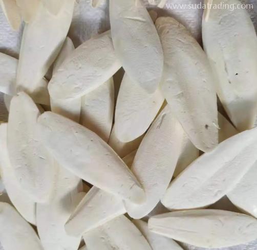 墨魚(yú)骨如何進(jìn)口清關(guān)? 墨魚(yú)骨如何進(jìn)口清關(guān)?