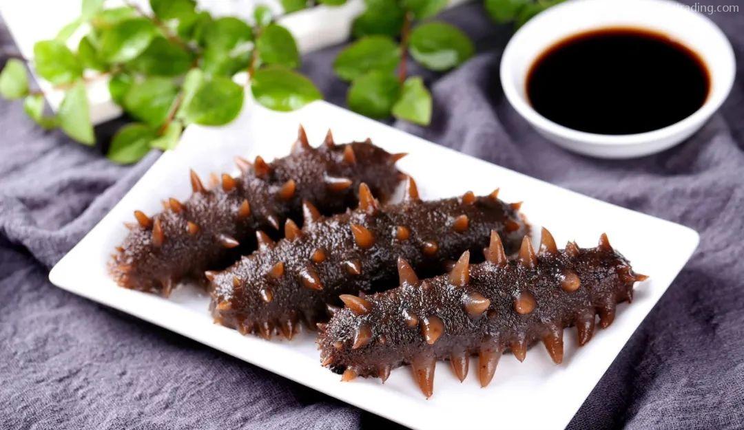 【進(jìn)口指南】食品海參進(jìn)口流程（內(nèi)附詳請(qǐng)）