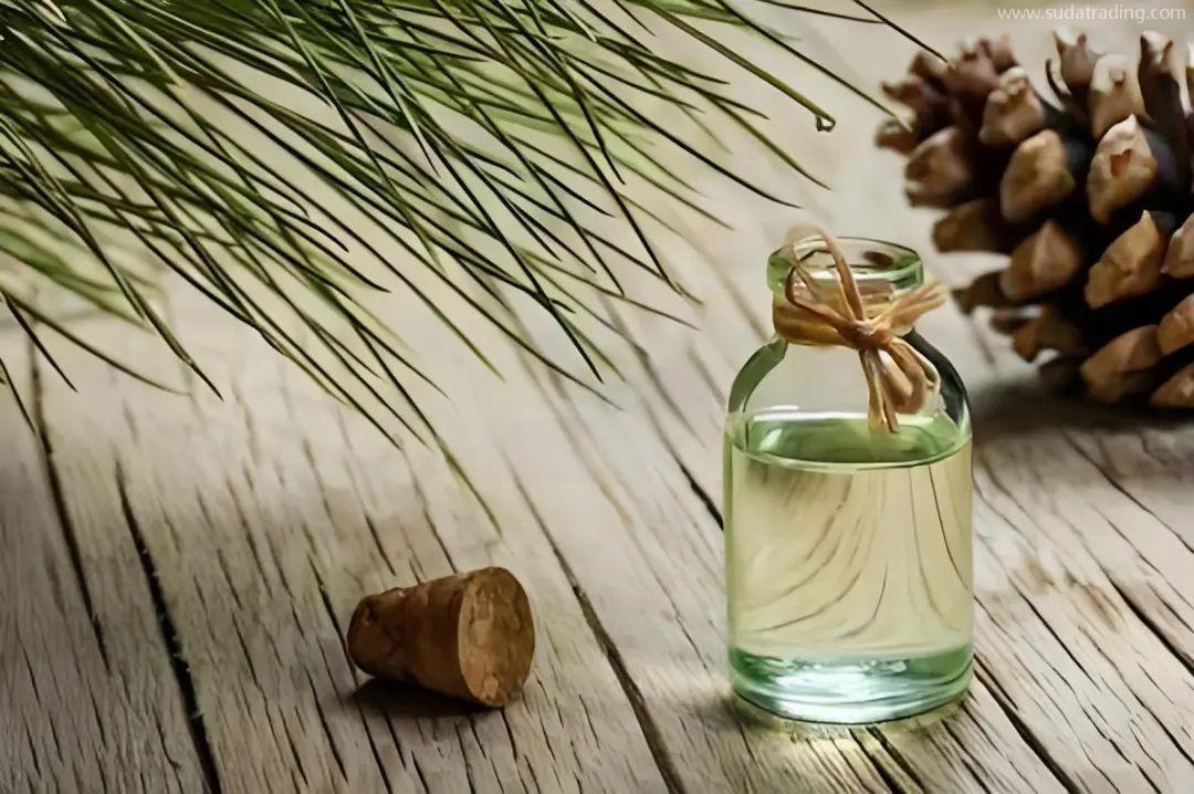 【進口知識】一文了解松香類產品