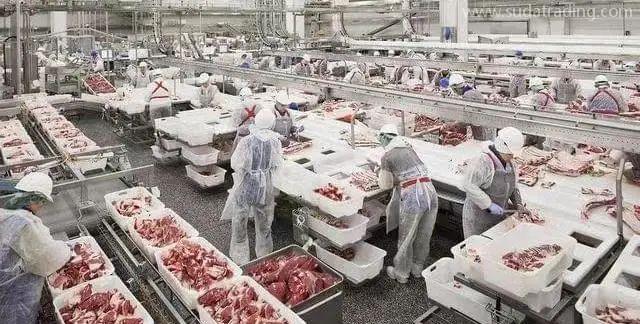 【進口知識】進口俄羅斯牛肉檢驗檢疫和衛生要求