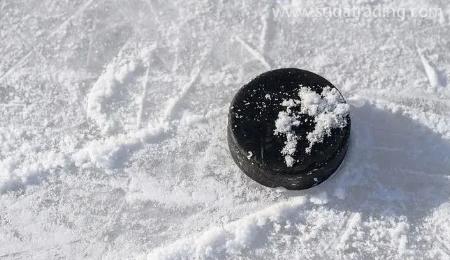 【進口知識】冰雪運動器械的歸類“密碼”